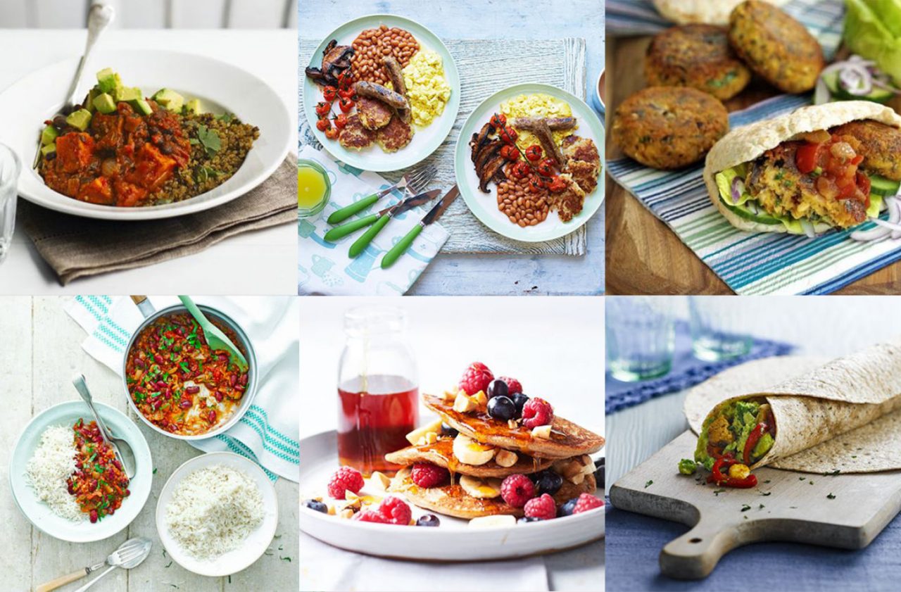 High protein vegan recipes